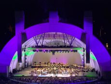 Hollywood Bowl concert